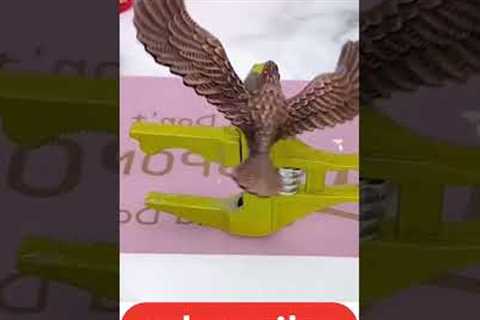 Gadgets | Home decor | Tech gadgets | Kitchen Gadgets| Tips | DIY | Car Accessories