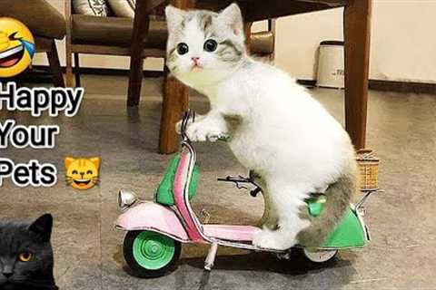 Funniest Animals 2024 Youtube 😂 - Best Funny Dog and Cat Videos Ever Youtube