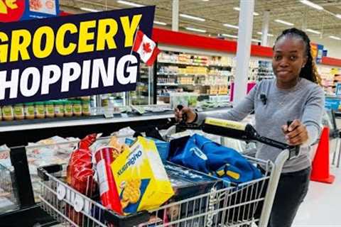 How much do we spend on Grocery in Canada? Grocery shopping haul