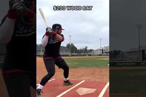 $50 Wood Bat vs. $300 Wood Bat #baseball