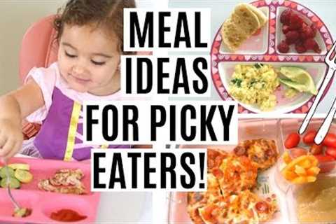 WHAT MY TODDLER EATS IN A DAY | TODDLER MEAL IDEAS FOR PICKY EATERS!
