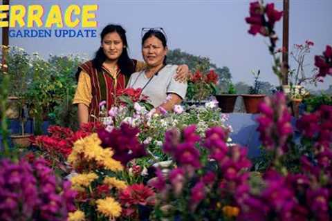 Terrace Garden in Nepal and Terrace Garden Ideas for Home I Nepali Gardening Tips