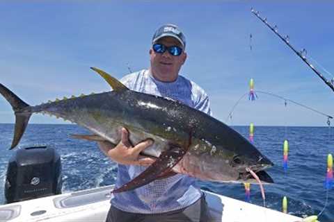 How To: Yellowfin Tuna Fishing in the Northeast Canyons