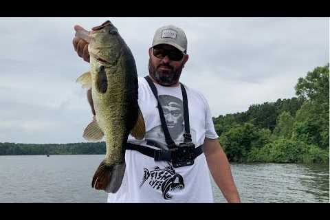 Lake Fork Tournament Bass Fishing Top Baits For Big Bass Splash, info from multiple Lake Fork Guides