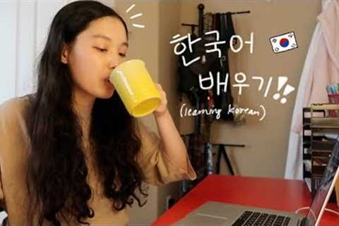 LEARN KOREAN: How to study Korean | not really studying with nina!