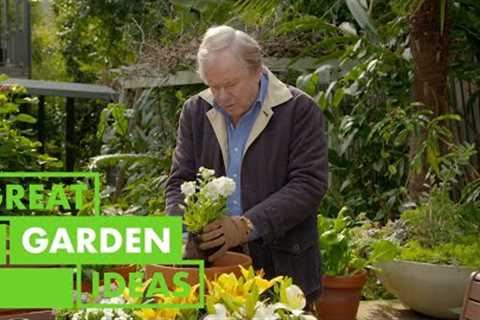 Gardening Hints and Tips | GARDEN | Great Home Ideas