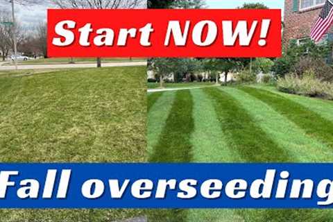 Lawn Overseeding In Fall: How YOU Can Transform Your Lawn!!
