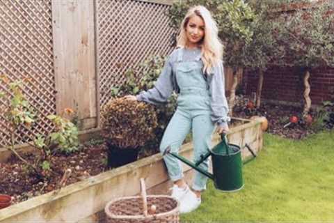 GARDENING TIPS FOR BEGINNERS! / Gardening Hacks