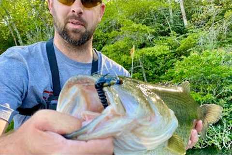 BIG BASS ALERT!!!  Fishing a Small Lake was Surprising