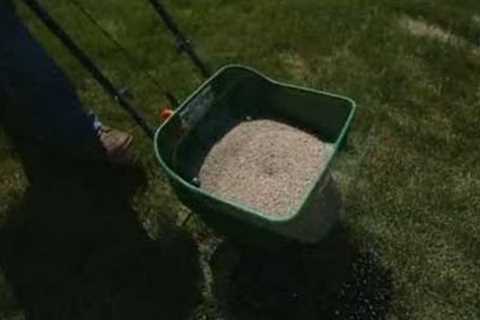 Easy Lawn Care Tips