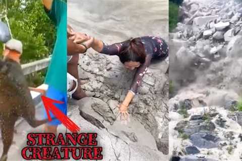 Most Jaw-Dropping Strangest Things Caught on Camera Moments of 2024