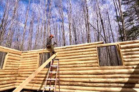 Solo Building A Big Log Cabin From My Land: Done With Eave Logs