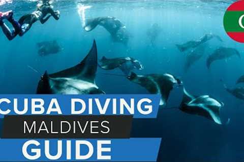 Scuba Diving Maldives Travel Guide w/ @AggressorAdventures #scuba #maldives