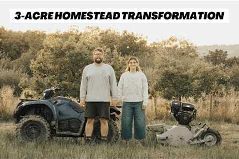 Turning abandoned land into an off-grid homestead &amp; campsite