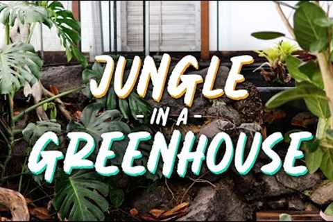 Turning Our Greenhouse Into a Jungle!