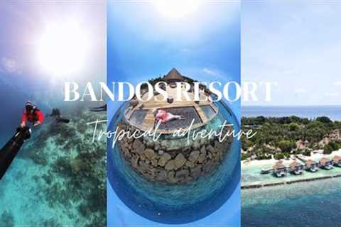 Bandos Resort - Escape to paradise || Resort Tour || Scuba diving || Snorkeling and so much more