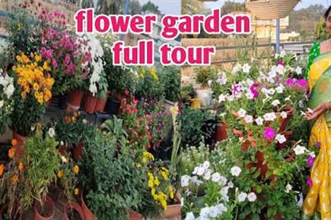 flower gardening at home | gardening ideas for home in telugu | flower plants at home garden