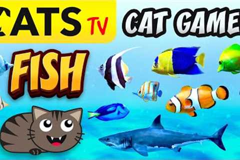 CAT GAMES  🌊📺🐟 FISH Compilation for cats 🐠🙀 4K 60 FPS [3 HOURS]