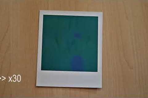 Timelapse: How a Polaroid Image develops