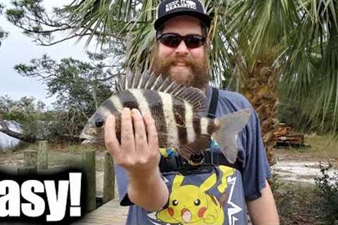 EASY Saltwater Fishing For Beginners - Fishing Docks With Shrimp!