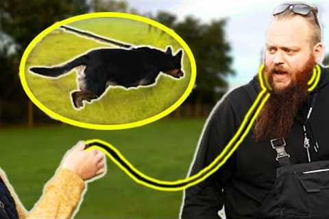 Client Corrects Me! How To Stop Your Dog PULLING On The Leash