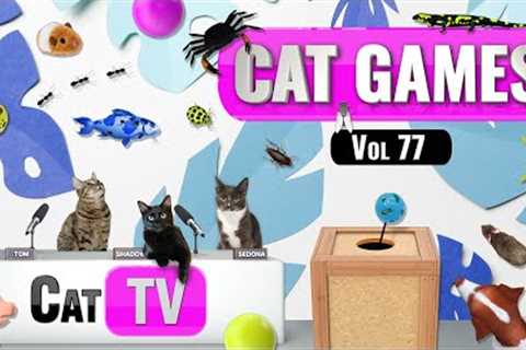 CAT Games | Ultimate Cat TV Compilation Vol 77 | 3 HOURS  🐝🐞🦋🦎🦜🐜🐭🧵