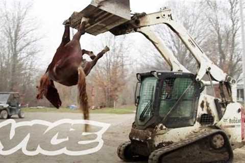 An Inside Look at the Exotic Animal Trade: Profiles by VICE