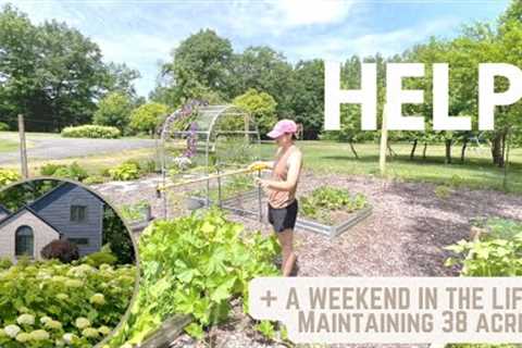What It Takes to Maintain 38 Acres + Large Garden Landscaping Ideas