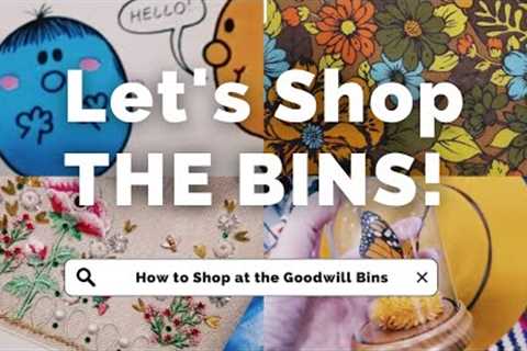 Thrift with Me! Goodwill Bins Outlet Shopping for Vintage Finds and Home Decor