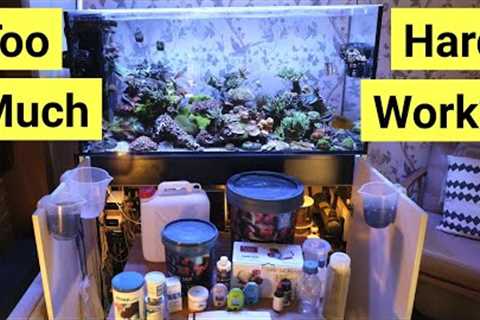 Watch This Before You Get A Saltwater Aquarium | FULL Maintenance Rundown