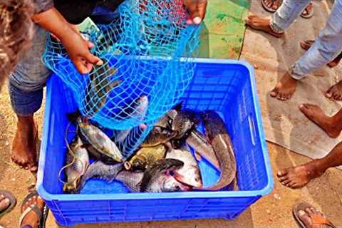 Fresh Fish Catch &amp; Cook Curry
