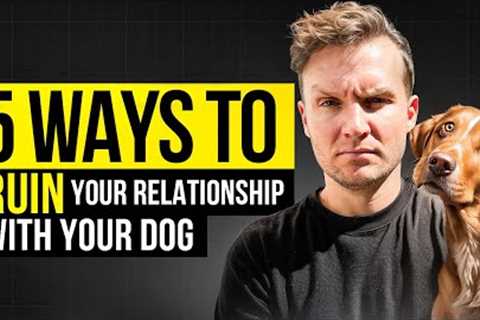 5 Things ALL Dog Owners Do To Ruin Their Dog- Dog Training Video