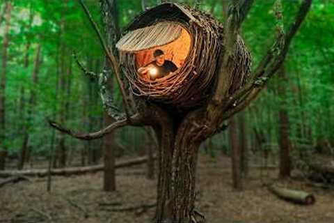 Building a Warm and Cozy NEST | Bushcraft tree house, Survival shelter, Forest cabin