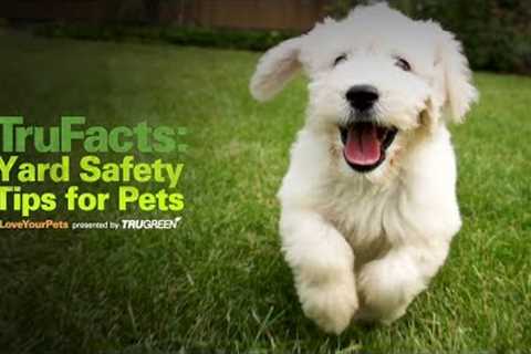 Yard Safety Tips for Pets