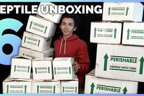 Unboxing 15 More Reptiles! 10 New Species of Snakes, Lizards &amp; Amphibians