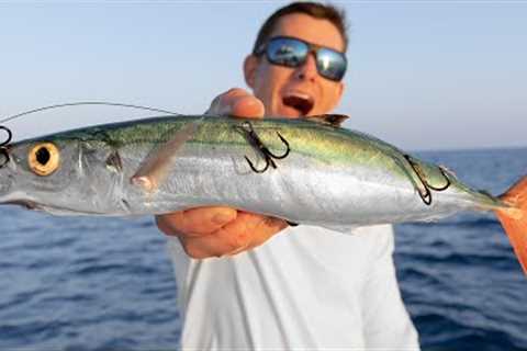 BIG Baits for Deep Sea GIANTS... Catch Clean Cook