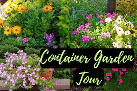 Unbelievable Container Garden Ideas for zone 4 :A Tour You Won't Forget! 🍀🍃 container gardening 🌱