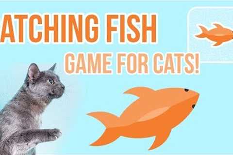 Games for Cats - Catching Fish (best on an iPhone screen/an iPad)