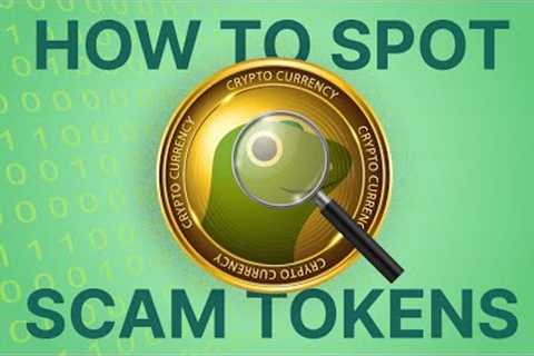 How To Avoid Crypto Scams? Rug Pull, Honeypot Scams Explained