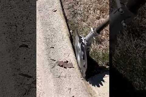 Not Your Grandfather's Lawn Edger!