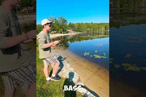 Smallest bass in the lake #fish #fishing #bassfishing #lake #funny