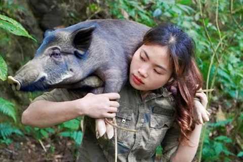 5 days of survival in the wilderness, building underground shelters, setting traps for wild boars