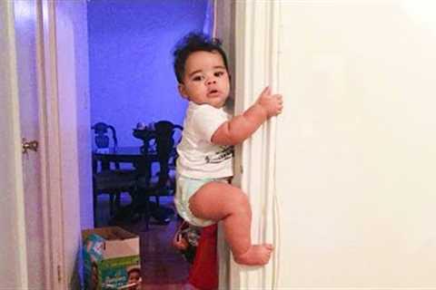 Try Not To Laugh with These Funny Baby Moments - Funny Baby Videos