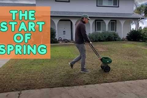 When To Mow, Water, And Fertilize In Early Spring