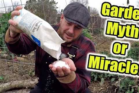 Is Epsom Salt A Gardening Myth Or A Gardening Miracle?