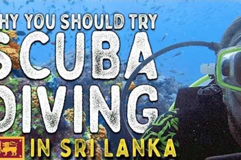 SRI LANKA DIVING - Scuba diving paradise in Hikkaduwa (PADI Open Water Advanced Course)