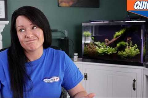 The Best Way To Prep Water  For An Aquarium?