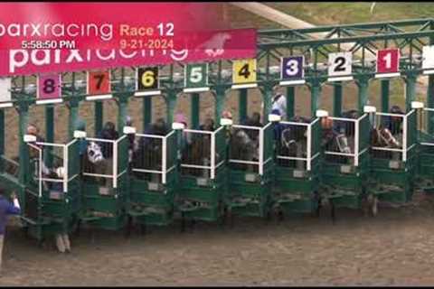 The 2024 Cotillion Stakes (G1) Won By Thorpedo Anna | Full Replay