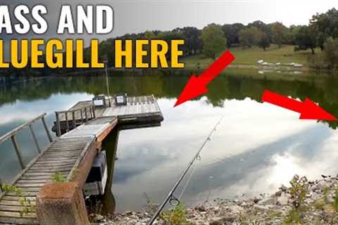 Fall Fishing For Bass And Bluegill - GULP Minnow Fishing From Shore