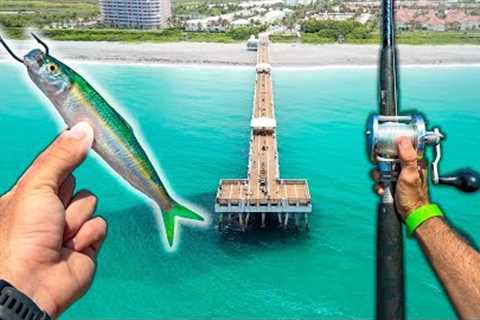 Pier Fishing: This Could Catch Anything!